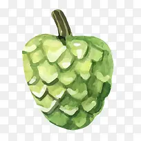 矢量卡通水彩桑葚水果png-空若网 矢量卡通水彩桑葚水果png-空若网