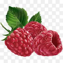 卡通手绘水果装饰海报设计桑葚-空若网 卡通手绘水果装饰海报设计桑葚-空若网