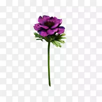 人造花植物茎宜家切花海葵-空若网 人造花植物茎宜家切花海葵-空若网