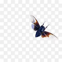 大禅-空若网 大禅-空若网