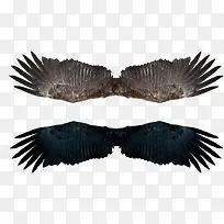一对老鹰的翅膀-空若网 一对老鹰的翅膀-空若网