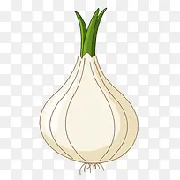 白色风信子-空若网 白色风信子-空若网