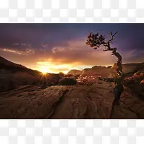日落山崖古树背景-空若网 日落山崖古树背景-空若网