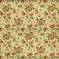 СË黨»¨ÎƱ³¾°-¿ÕÈôÍø СË黨»¨ÎƱ³¾°-¿ÕÈôÍø