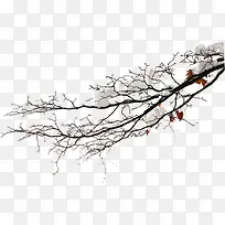 ����Ļ���ֲ����Ӱ-������