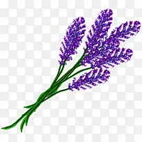 英国薰衣草花紫法国薰衣草花园玫瑰-薰衣草-空若网 英国薰衣草花紫法国薰衣草花园玫瑰-薰衣草-空若网