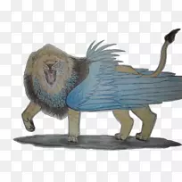 猫科食肉动物-咆哮-空若网 猫科食肉动物-咆哮-空若网