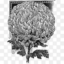 �ջ��廭-������