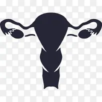 Ů��ֳϵͳ-������