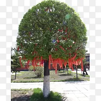 �����������Ը��-������