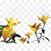 ���㻨ʸ�����������ز�-������