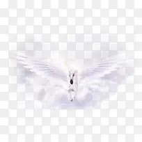 独角兽-空若网 独角兽-空若网