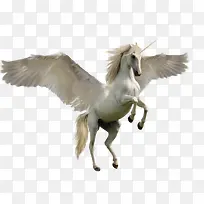 �����Ķ�����-������