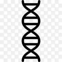 DNA��ͼ��-������