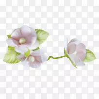 婴儿阿波姆剪贴画-空若网 婴儿阿波姆剪贴画-空若网