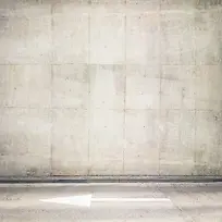 ����ǽ�ڵذ屳��-������