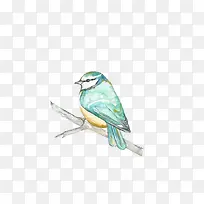 ��֦�ϵ���-������