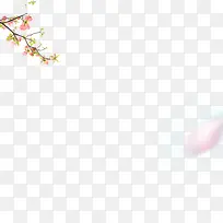 梅花花瓣装饰-空若网 梅花花瓣装饰-空若网
