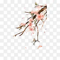 水彩贴边桃花绘画-空若网 水彩贴边桃花绘画-空若网