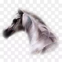 马豪斯桌面壁纸博客-阿里-空若网 马豪斯桌面壁纸博客-阿里-空若网