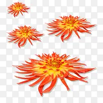 橙色菊花飘落png图-空若网 橙色菊花飘落png图-空若网