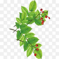 卡通山楂树毕业季-空若网 卡通山楂树毕业季-空若网