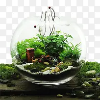 创意玻璃盆景-空若网 创意玻璃盆景-空若网