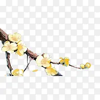 黄色桃花手绘-空若网 黄色桃花手绘-空若网