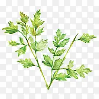 �ֻ氬��-������