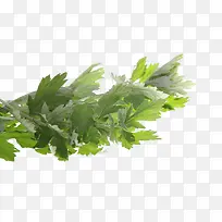 °¬²Ý-¿ÕÈôÍø °¬²Ý-¿ÕÈôÍø