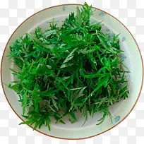 艾叶草实物图-空若网 艾叶草实物图-空若网