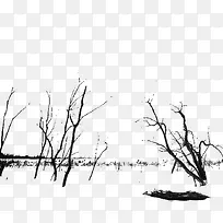 枯藤老树-空若网 枯藤老树-空若网