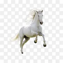 ��Ʒʵ�ﱼ�ܵ���-������