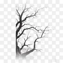 黑色枯枝-空若网 黑色枯枝-空若网