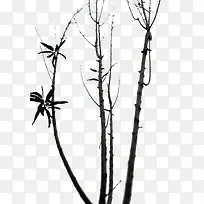 冬季的枯树枝-空若网 冬季的枯树枝-空若网