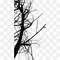 鬼片常见的枯树枝-空若网 鬼片常见的枯树枝-空若网