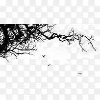 手绘装饰树枝-空若网 手绘装饰树枝-空若网