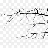 掉光叶子的枯树枝-空若网 掉光叶子的枯树枝-空若网