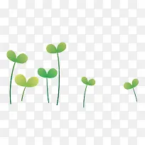 好多绿草-空若网 好多绿草-空若网