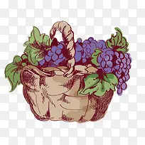 矢量摘下来的葡萄素材-空若网 矢量摘下来的葡萄素材-空若网