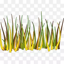 草画夹艺术.草边-空若网 草画夹艺术.草边-空若网