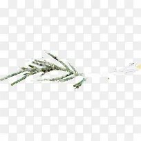 ±âƽ±ùÑ©¸²¸ÇÊ÷Ö¦-¿ÕÈôÍø ±âƽ±ùÑ©¸²¸ÇÊ÷Ö¦-¿ÕÈôÍø