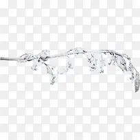 冬日冰雪覆盖树枝-空若网 冬日冰雪覆盖树枝-空若网