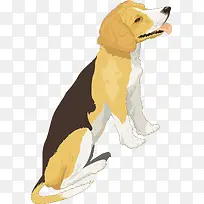 ��ͨ��ɫ�ֻ湷��-������