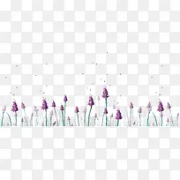 薰衣草-空若网 薰衣草-空若网