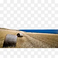 南海普陀寺的草垛-空若网 南海普陀寺的草垛-空若网