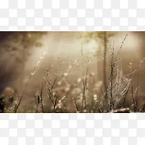 ֩������֦�ɿݺ�������-������