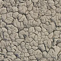 ���Ʊ�������-������