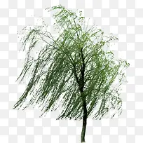 ����΢�紵������-������