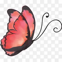 橙色卡通蝴蝶婚礼-空若网 橙色卡通蝴蝶婚礼-空若网